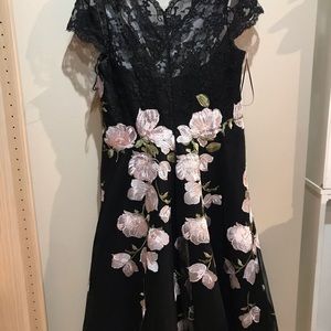 Teri John lace and appliqué dress